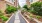 a street with plants and trees