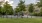 a large building with trees in front of it